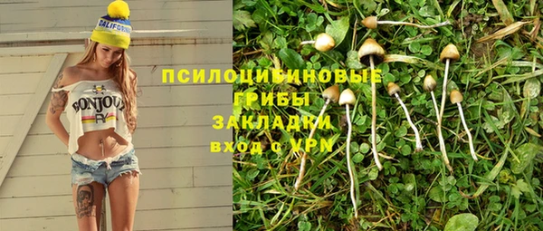 mix Бородино
