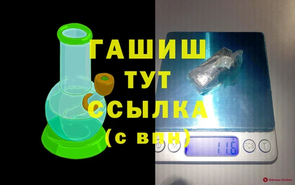 прущие грибы Бронницы