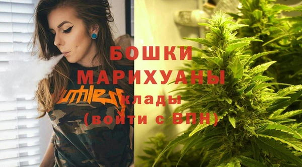 эйфоретик Дубна