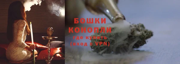 прущие грибы Бронницы