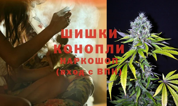 прущие грибы Бронницы