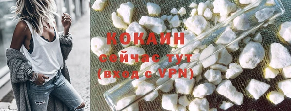 прущие грибы Бронницы