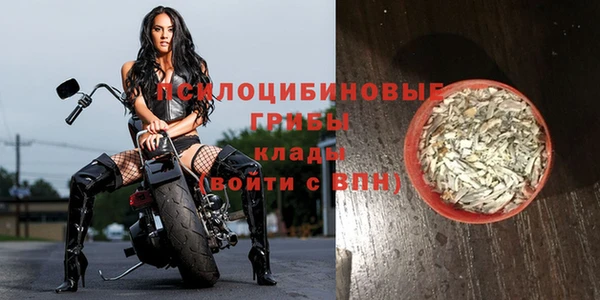 мдма Богданович
