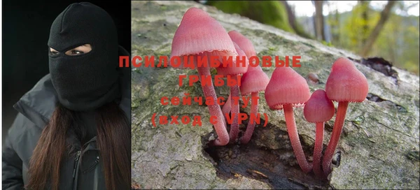 эйфоретик Дубна