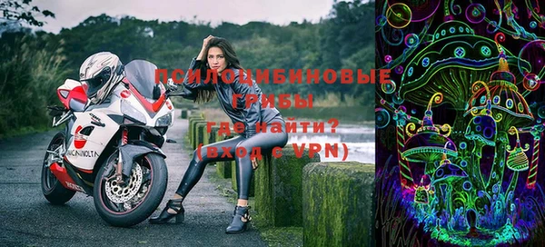 эйфоретик Дубна