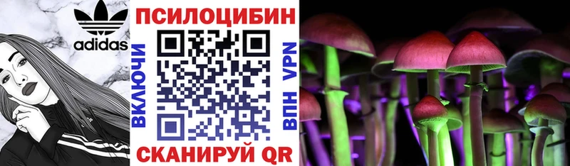 Галлюциногенные грибы GOLDEN TEACHER  ссылка на мегу ТОР  Курильск  магазин продажи  